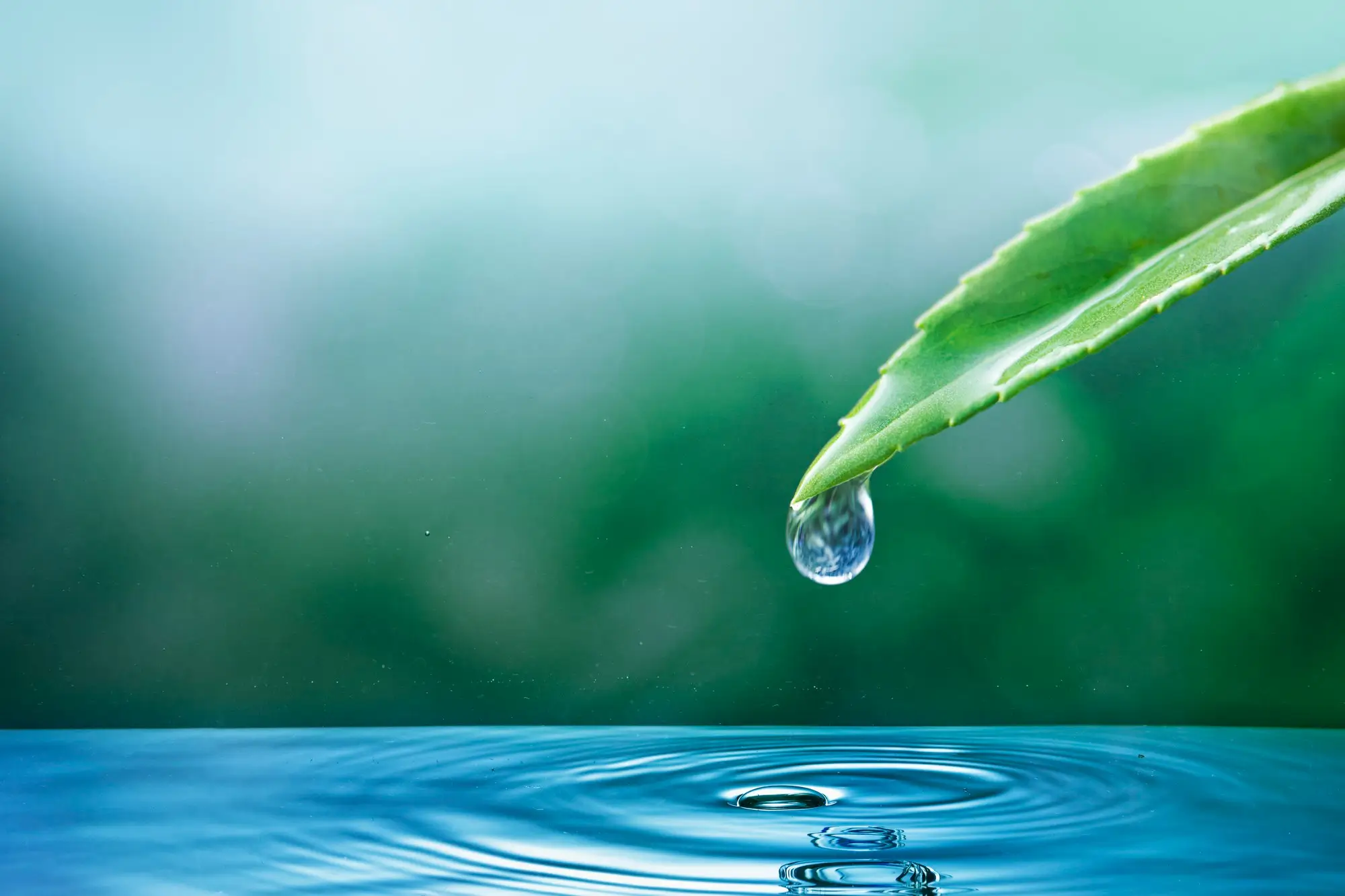 Nature background | Watec Distribution