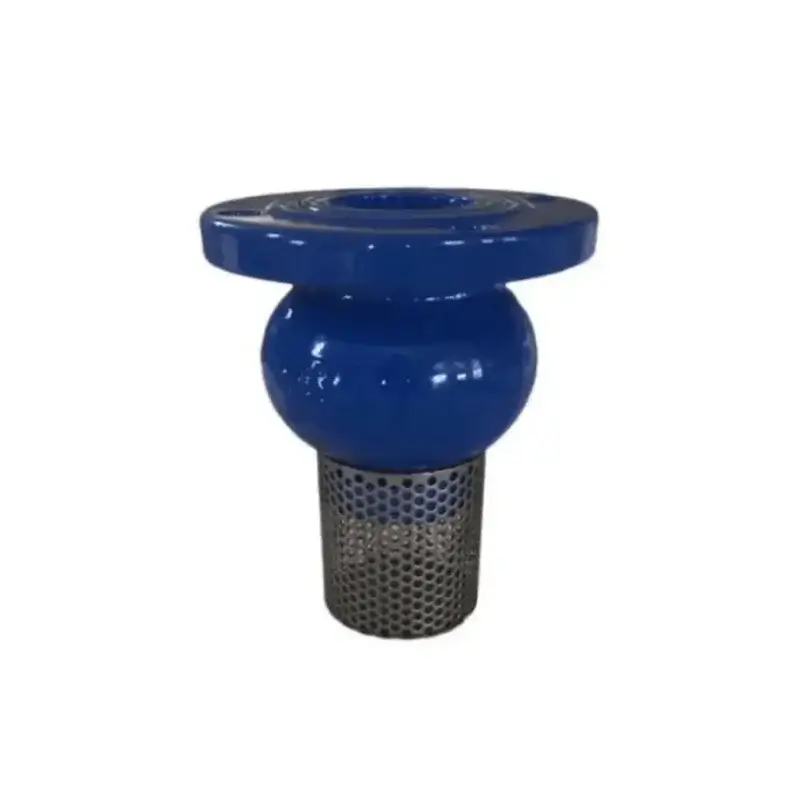 CLAPET CRÉPINE PN 10/16